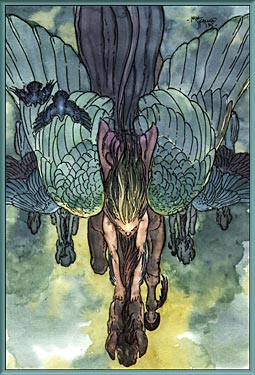The Pegasi