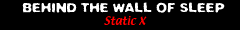 Static X