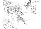 Sketch 2
